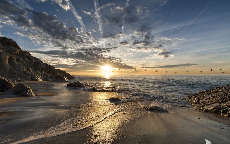 A Picture Of Lee Carillo State Park