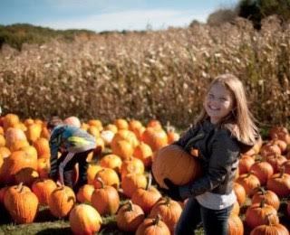 Fun Fall Activities Around Southern California